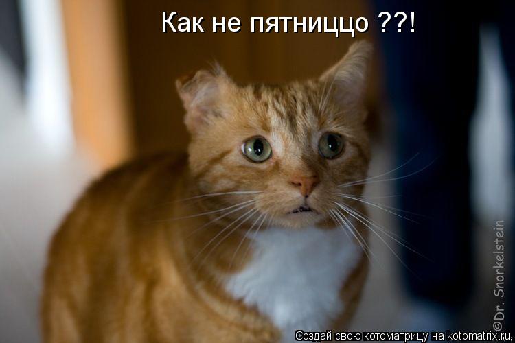 Как не пятниццо ??!... Котоматрица: Как не пятниццо ??!
