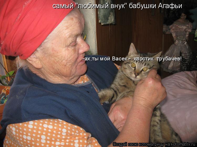 самый "любимый внук" бабушки Агафьи -ах,ты мой Васек - хвостик трубачев!... Котоматрица: самый "любимый внук" бабушки Агафьи -ах,ты мой Васек - хвостик трубачев!