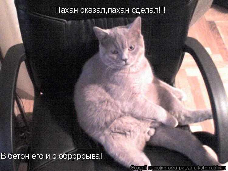 Пахан сказал,пахан сделал!!! В бетон его и с обррррыва!... Котоматрица: Пахан сказал,пахан сделал!!! В бетон его и с обррррыва!
