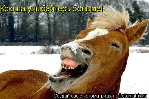 Ксюша,улыбайтесь больше!... Котоматрица: Ксюша,улыбайтесь больше!