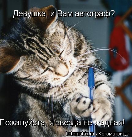 Девушка, и Вам автограф? Пожалуйста, я звезда не жадная!... Котоматрица: Девушка, и Вам автограф? Пожалуйста, я звезда не жадная!