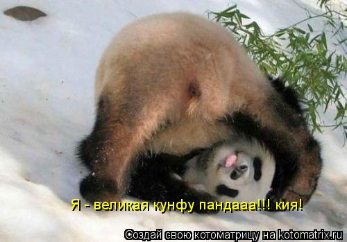 Я - великая кунфу пандааа!!! кия!... Котоматрица: Я - великая кунфу пандааа!!! кия!