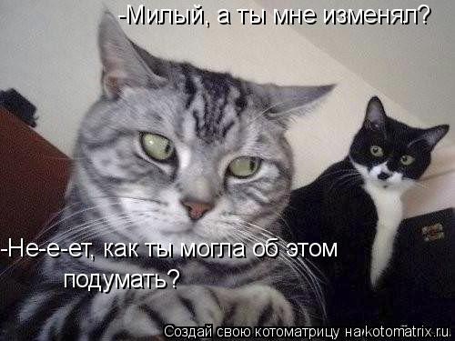 -Милый, а ты мне изменял? -Не-е-ет, как ты могла об этом подумать?... Котоматрица: -Милый, а ты мне изменял? -Не-е-ет, как ты могла об этом подумать?