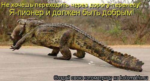 Не хочешь переходить через дорогу-перенесу! Я-пионер и должен быть добрым!... Котоматрица: Не хочешь переходить через дорогу-перенесу! Я-пионер и должен быть добрым!