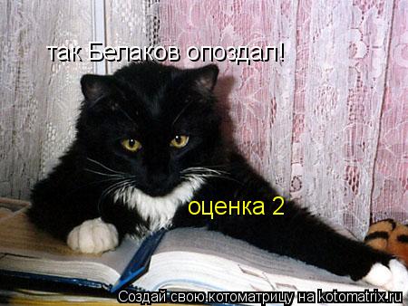 так Белаков опоздал! оценка 2... Котоматрица: так Белаков опоздал! оценка 2