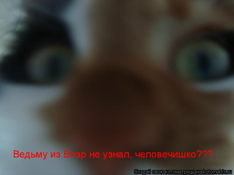 Ведьму из Блэр не узнал, человечишко???... Котоматрица: Ведьму из Блэр не узнал, человечишко???