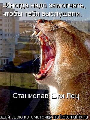 Иногда надо замолчать, чтобы тебя выслушали. Станислав Ежи Лец... Котоматрица: Иногда надо замолчать, чтобы тебя выслушали. Станислав Ежи Лец