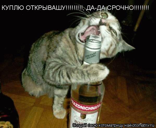 КУПЛЮ ОТКРЫВАШУ!!!!!!!!!, ДА-ДА СРОЧНО!!!!!!!!... Котоматрица: КУПЛЮ ОТКРЫВАШУ!!!!!!!!!, ДА-ДА СРОЧНО!!!!!!!!