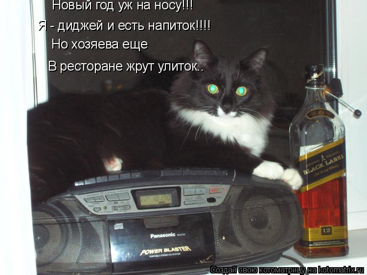 Новый год уж на носу!!! Я - диджей и есть напиток!!!! Но хозяева еще В ресторане жрут улиток..... Котоматрица: Новый год уж на носу!!! Я - диджей и есть напиток!!!! Но хозяева еще В ресторане жрут улиток..