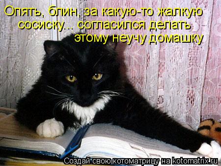 Опять, блин, за какую-то жалкую сосиску... согласился делать этому неучу домашку... Котоматрица: Опять, блин, за какую-то жалкую сосиску... согласился делать этому неучу домашку