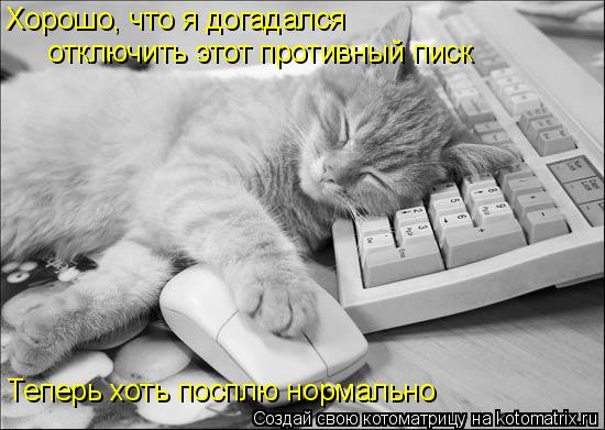 Хорошо, что я догадался отключить этот противный писк Теперь хоть посплю нормально... Котоматрица: Хорошо, что я догадался отключить этот противный писк Теперь хоть посплю нормально