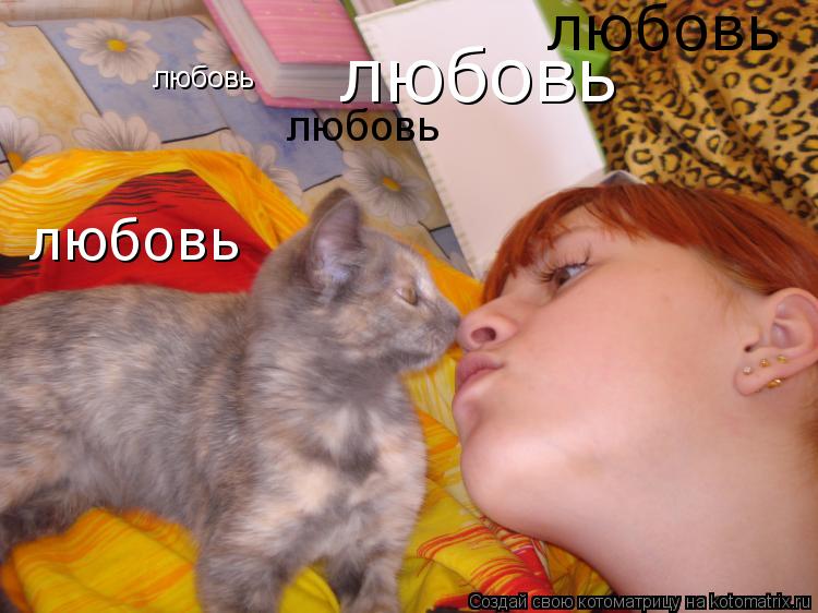 любовь любовь любовь любовь любовь... Котоматрица: любовь любовь любовь любовь любовь