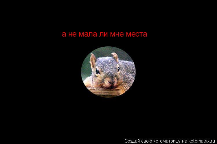 а не мала ли мне места... Котоматрица: а не мала ли мне места