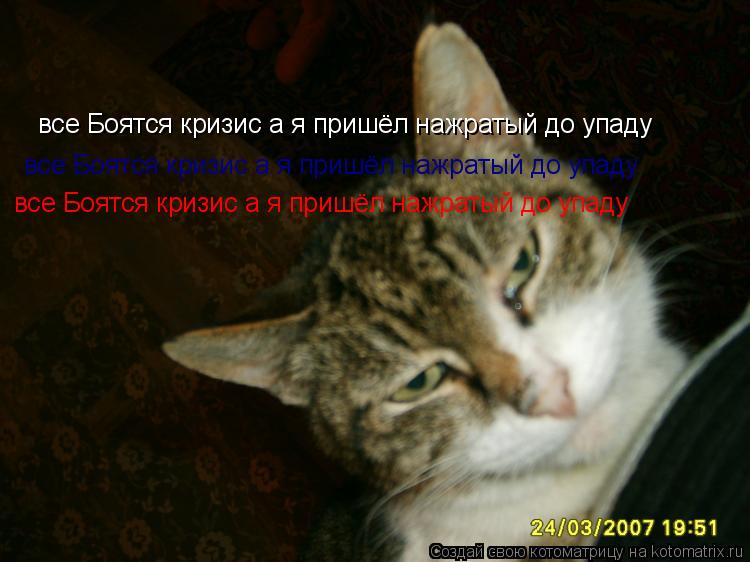 все Боятся кризис а я пришёл нажратый до упаду все Боятся кризис а я пришёл нажратый до упаду все Боя... Котоматрица: все Боятся кризис а я пришёл нажратый до упаду все Боятся кризис а я пришёл нажратый до упаду все Боятся кризис а я пришёл нажратый до упаду