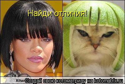 Найди отличия!... Котоматрица: Найди отличия!