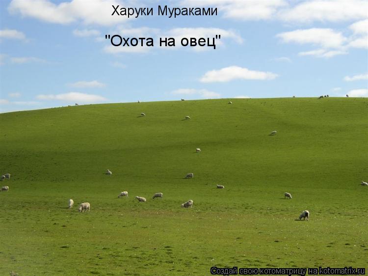 Харуки Мураками "Охота на овец"... Котоматрица: Харуки Мураками "Охота на овец"
