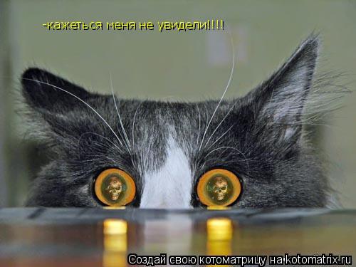 -кажеться меня не увидели!!!!... Котоматрица: -кажеться меня не увидели!!!!