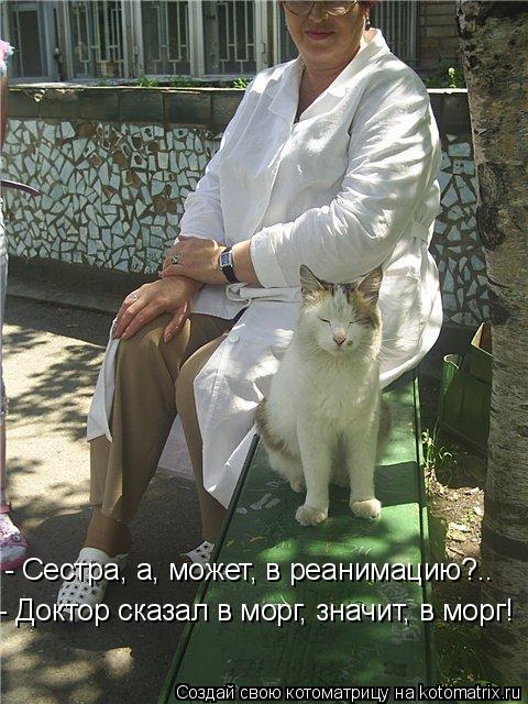 - Сестра, а, может, в реанимацию?.. - Доктор сказал в морг, значит, в морг!... Котоматрица: - Сестра, а, может, в реанимацию?.. - Доктор сказал в морг, значит, в морг!