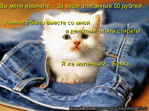 Вы меня извините... За ваши описанные 50 рублей... А нечего было вместе со мной и деньгами штаны стир... Котоматрица: Вы меня извините... За ваши описанные 50 рублей... А нечего было вместе со мной и деньгами штаны стирать! Я же маленький... Боюсь...