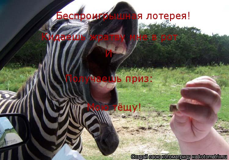 Кидаешь жратву мне в рот И Получаешь приз: Беспроигрышная лотерея! Мою тёщу!... Котоматрица: Кидаешь жратву мне в рот И Получаешь приз: Беспроигрышная лотерея! Мою тёщу!
