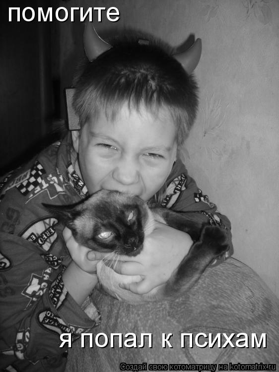 помогите я попал к психам... Котоматрица: помогите я попал к психам