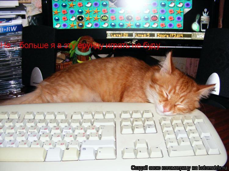 Не... больше я в эту ерунду играть не буду....... Котоматрица: Не... больше я в эту ерунду играть не буду....