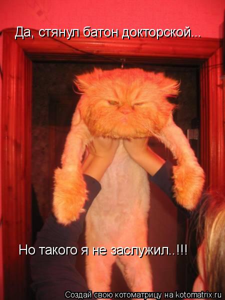 Да, стянул батон докторской... Но такого я не заслужил..!!!... Котоматрица: Да, стянул батон докторской... Но такого я не заслужил..!!!