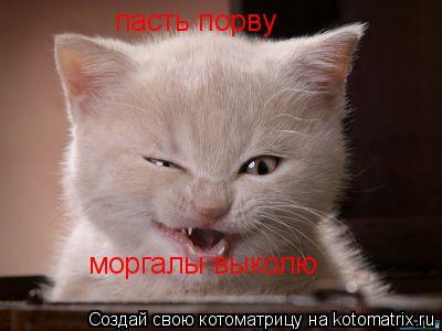 пасть порву моргалы выколю... Котоматрица: пасть порву моргалы выколю