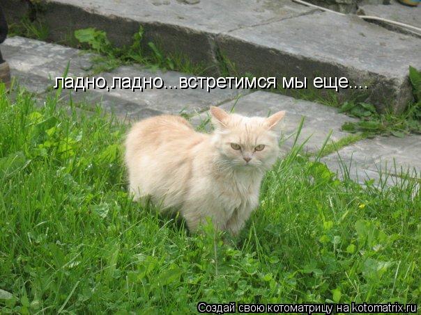 ладно,ладно...встретимся мы еще.... ладно,ладно...встретимся мы еще....... Котоматрица: ладно,ладно...встретимся мы еще.... ладно,ладно...встретимся мы еще....