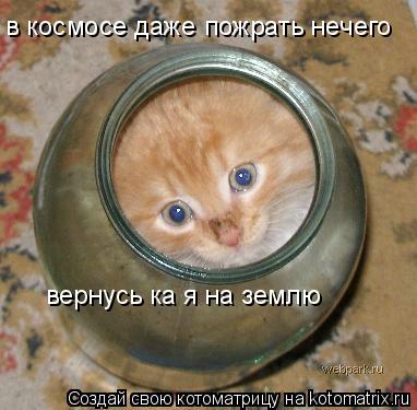 в космосе даже пожрать нечего вернусь ка я на землю... Котоматрица: в космосе даже пожрать нечего вернусь ка я на землю