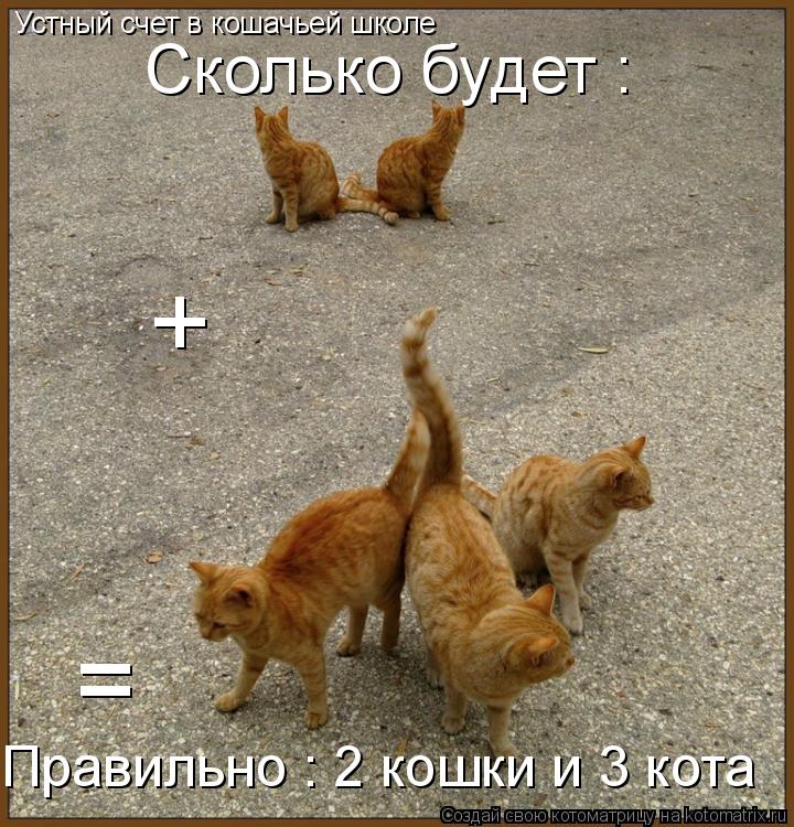 Устный счет в кошачьей школе Сколько будет : + Правильно : 2 кошки и 3 кота =... Котоматрица: Устный счет в кошачьей школе Сколько будет : + Правильно : 2 кошки и 3 кота =