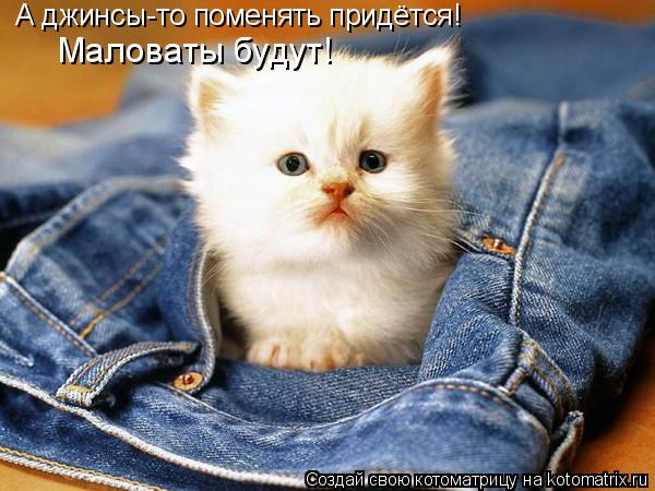 А джинсы-то поменять придётся! Маловаты будут!... Котоматрица: А джинсы-то поменять придётся! Маловаты будут!