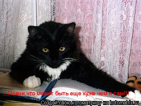 ...Повни,что может быть еще хуже чем я сам!!!... Котоматрица: ...Повни,что может быть еще хуже чем я сам!!!