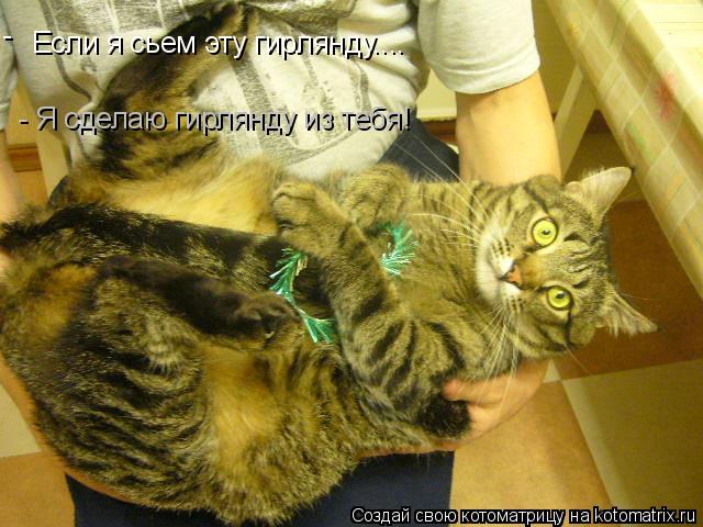 Если я сьем эту гирлянду.... - - Я сделаю гирлянду из тебя!... Котоматрица: Если я сьем эту гирлянду.... - - Я сделаю гирлянду из тебя!