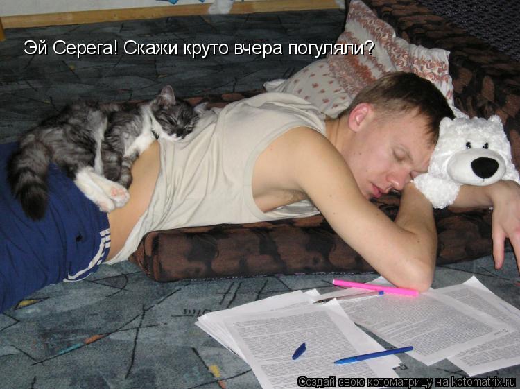 Эй Серега! Скажи круто вчера погуляли?... Котоматрица: Эй Серега! Скажи круто вчера погуляли?