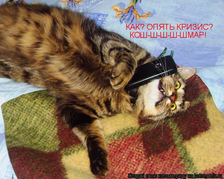 КАК? ОПЯТЬ КРИЗИС? КОШ-Ш-Ш-Ш-ШМАР!... Котоматрица: КАК? ОПЯТЬ КРИЗИС? КОШ-Ш-Ш-Ш-ШМАР!