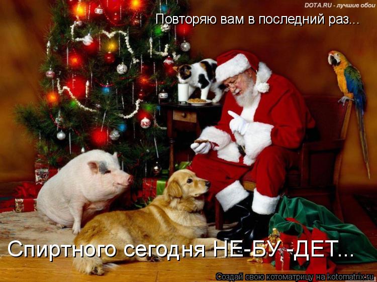 Спиртного сегодня НЕ-БУ -ДЕТ... Повторяю вам в последний раз...... Котоматрица: Спиртного сегодня НЕ-БУ -ДЕТ... Повторяю вам в последний раз...