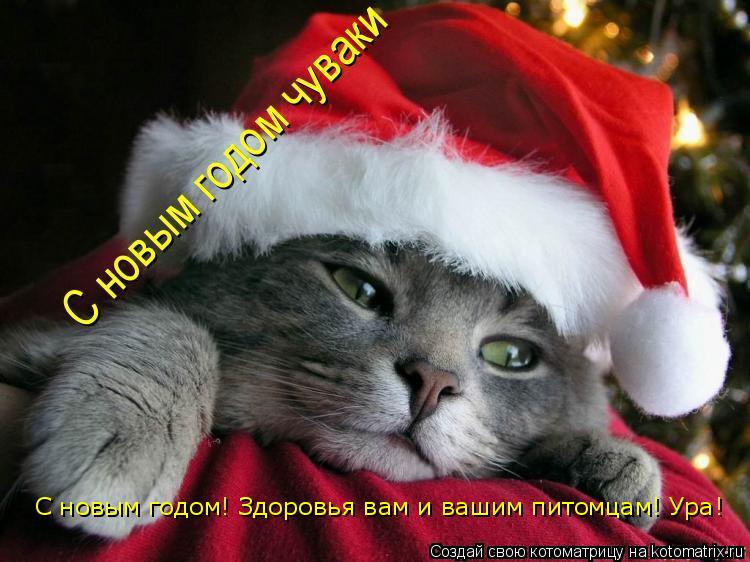 С новым годом! Здоровья вам и вашим питомцам! Ура!... Котоматрица: С новым годом! Здоровья вам и вашим питомцам! Ура!