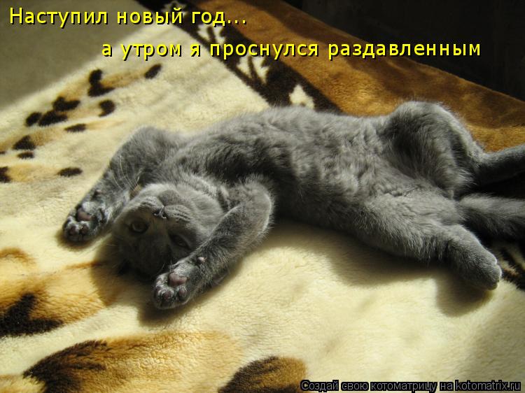 Наступил новый год... а утром я проснулся раздавленным... Котоматрица: Наступил новый год... а утром я проснулся раздавленным