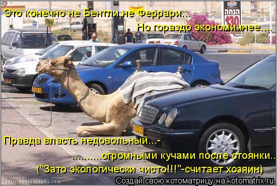 ..........огромными кучами после стоянки... ("Зато экологически чисто!!!"-считает хозяин) Это конечно... Котоматрица: ..........огромными кучами после стоянки... ("Зато экологически чисто!!!"-считает хозяин) Это конечно не Бентли,не Феррари... Правда власть недовол