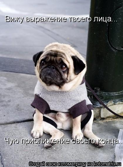 Вижу выражение твоего лица... Чую приближение своего конца...... Котоматрица: Вижу выражение твоего лица... Чую приближение своего конца...