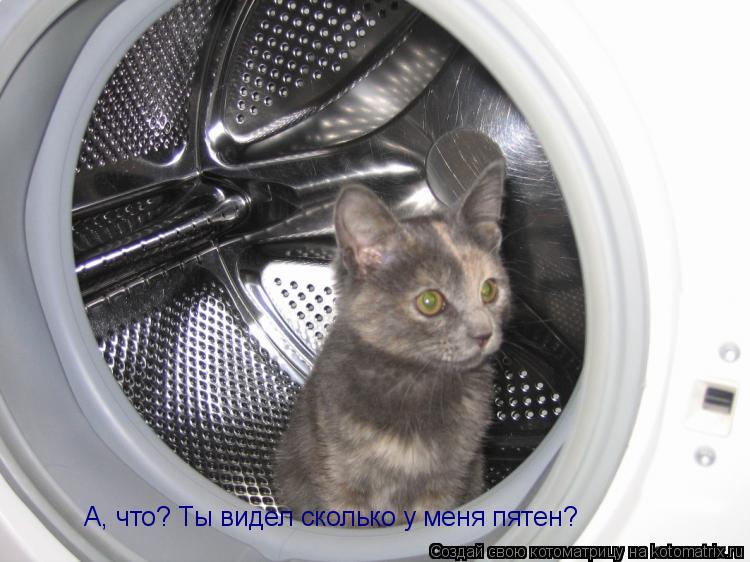 А, что? Ты видел сколько у меня пятен?... Котоматрица: А, что? Ты видел сколько у меня пятен?