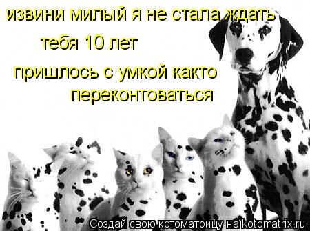 извини милый я не стала ждать тебя 10 лет пришлось с умкой както переконтоваться... Котоматрица: извини милый я не стала ждать тебя 10 лет пришлось с умкой както переконтоваться