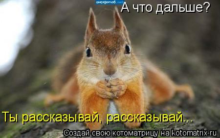 А что дальше? Ты рассказывай, рассказывай... А что дальше? Ты рассказывай, рассказывай...... Котоматрица: А что дальше? Ты рассказывай, рассказывай... А что дальше? Ты рассказывай, рассказывай...