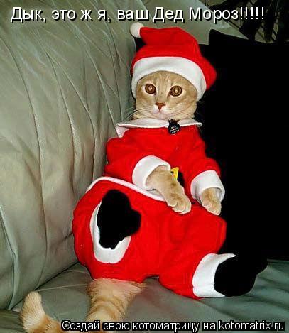 Дык, это ж я, ваш Дед Мороз!!!!!... Котоматрица: Дык, это ж я, ваш Дед Мороз!!!!!