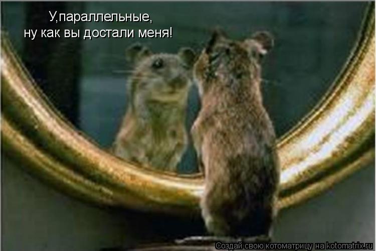 У,параллельные, ну как вы достали меня!... Котоматрица: У,параллельные, ну как вы достали меня!