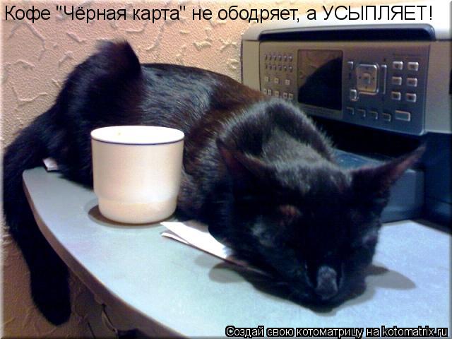Кофе "Чёрная карта" не ободряет, а УСЫПЛЯЕТ!... Котоматрица: Кофе "Чёрная карта" не ободряет, а УСЫПЛЯЕТ!
