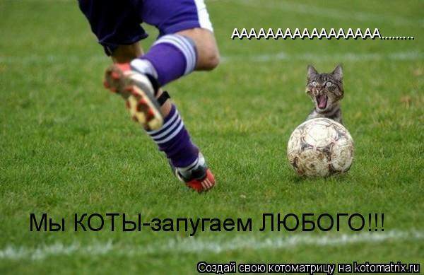 ААААААААААААААААА......... Мы КОТЫ-запугаем ЛЮБОГО!!!... Котоматрица: ААААААААААААААААА......... Мы КОТЫ-запугаем ЛЮБОГО!!!