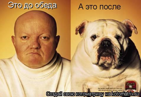 Это до обеда А это после... Котоматрица: Это до обеда А это после