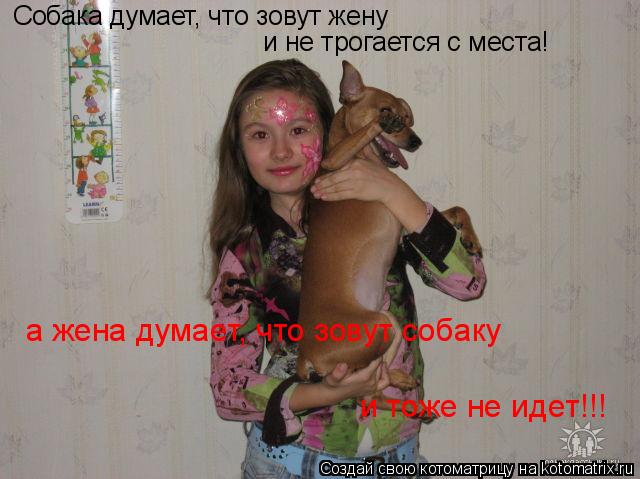 Собака думает, что зовут жену и не трогается с места! а жена думает, что зовут собаку и тоже не идет... Котоматрица: Собака думает, что зовут жену и не трогается с места! а жена думает, что зовут собаку и тоже не идет!!!